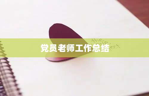 党员老师工作总结