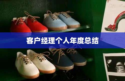 客户经理个人年度总结