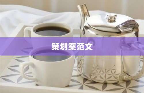 策划案范文