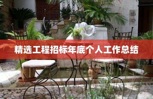 精选工程招标年底个人工作总结