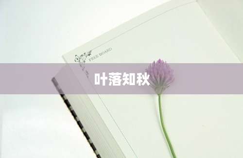 叶落知秋