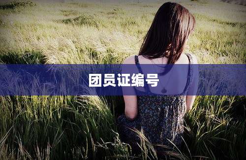 团员证编号