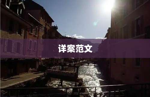 详案范文