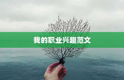 我的职业兴趣范文