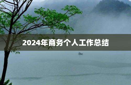 2024年商务个人工作总结