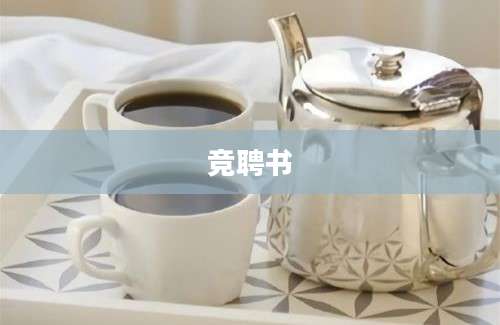 竞聘书