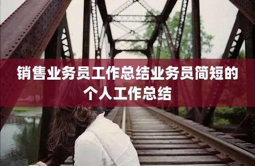 销售业务员工作总结业务员简短的个人工作总结