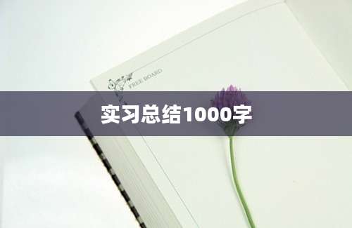 实习总结1000字