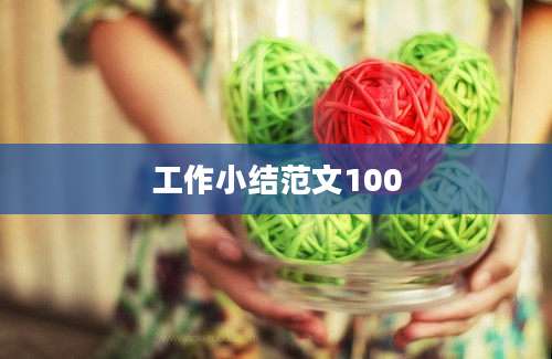 工作小结范文100