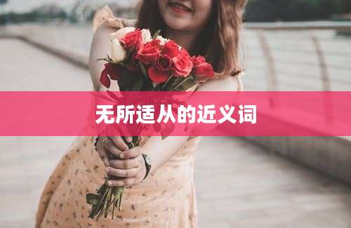无所适从的近义词