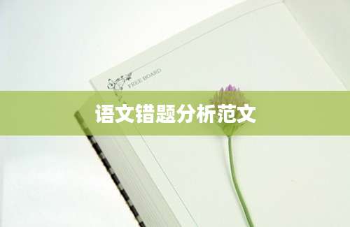 语文错题分析范文