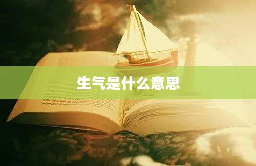 生气是什么意思
