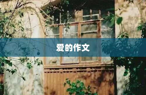 爱的作文