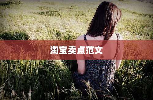 淘宝卖点范文
