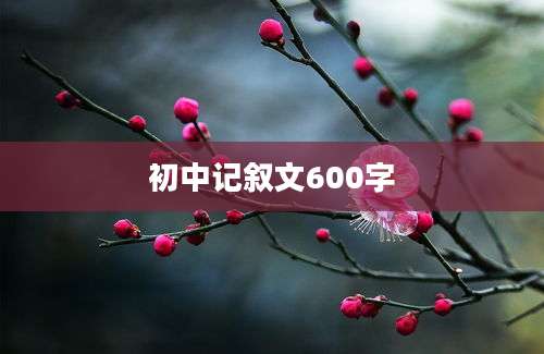 初中记叙文600字