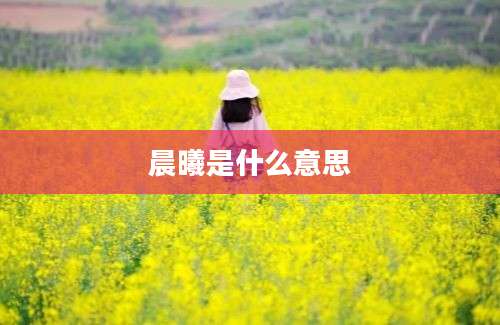 晨曦是什么意思