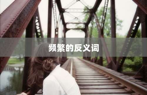 频繁的反义词