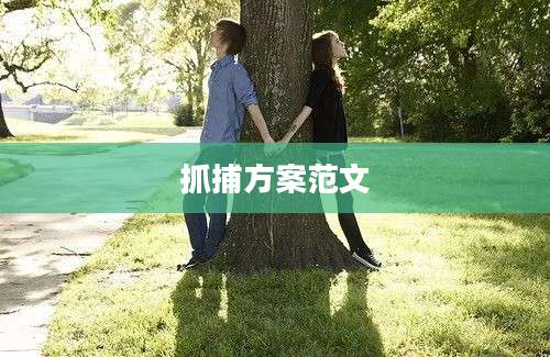 抓捕方案范文