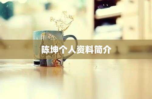 陈坤个人资料简介