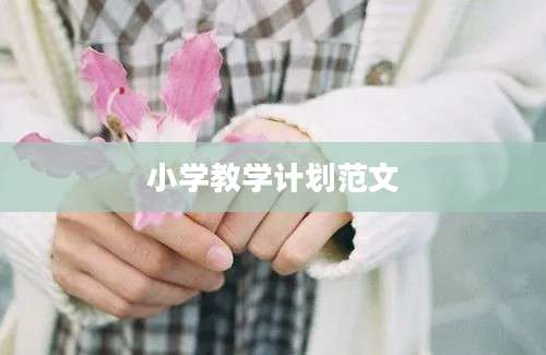 小学教学计划范文