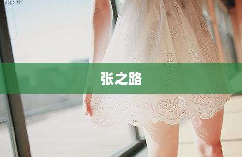 张之路