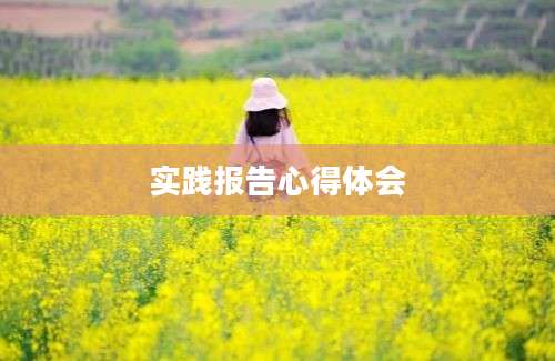 实践报告心得体会