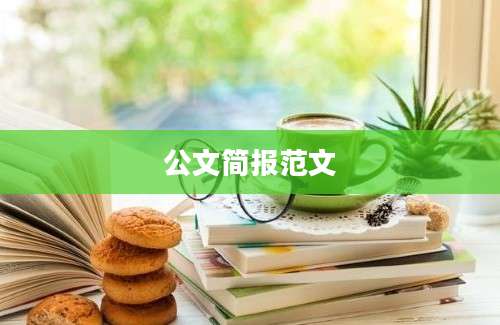 公文简报范文