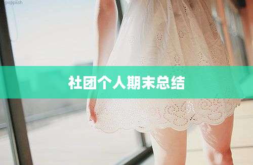 社团个人期末总结