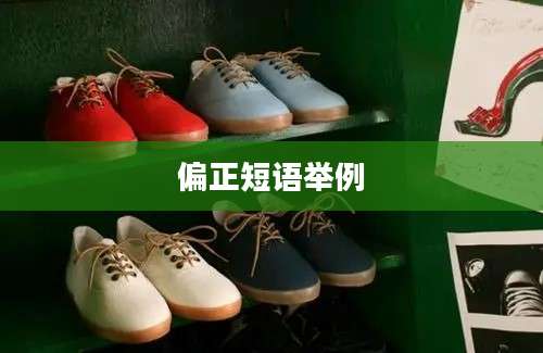 偏正短语举例