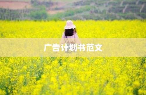 广告计划书范文