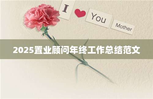 2025置业顾问年终工作总结范文