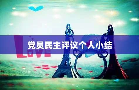 党员民主评议个人小结