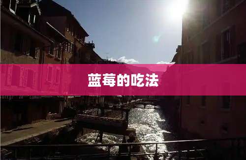 蓝莓的吃法