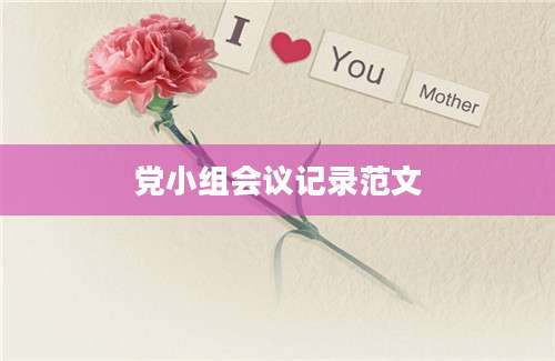 党小组会议记录范文