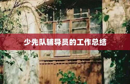 少先队辅导员的工作总结