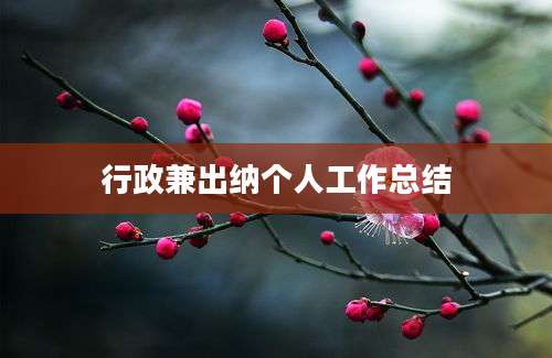 行政兼出纳个人工作总结