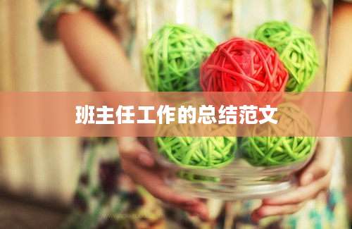 班主任工作的总结范文