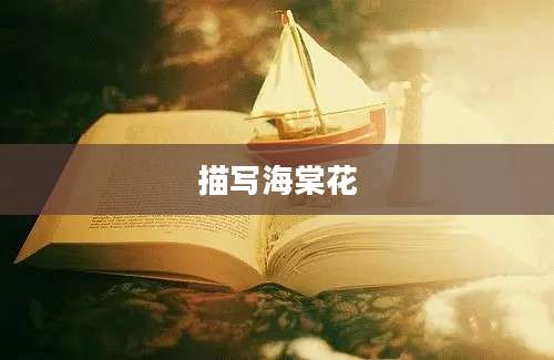 描写海棠花