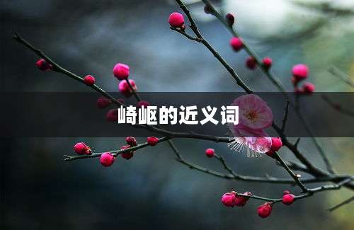 崎岖的近义词