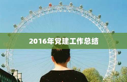 2016年党建工作总结