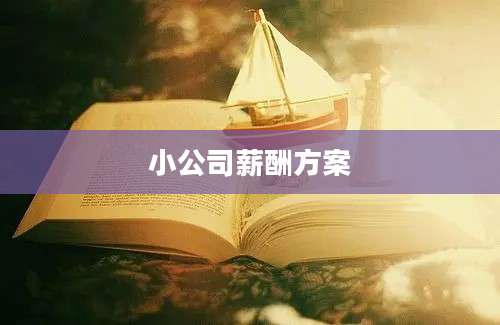 小公司薪酬方案