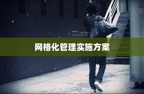 网格化管理实施方案