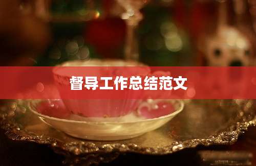 督导工作总结范文