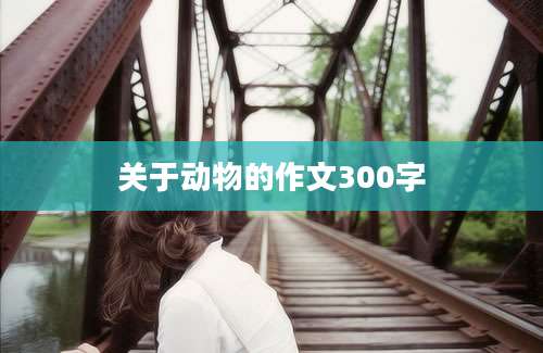 关于动物的作文300字