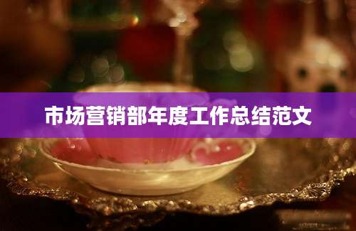 市场营销部年度工作总结范文