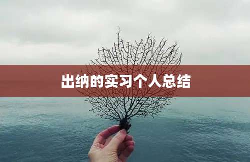 出纳的实习个人总结