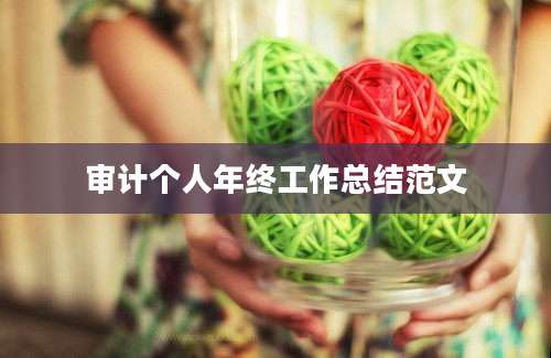 审计个人年终工作总结范文