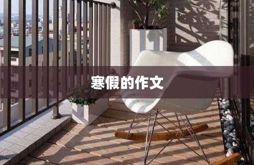 寒假的作文