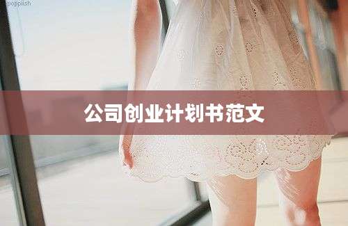 公司创业计划书范文