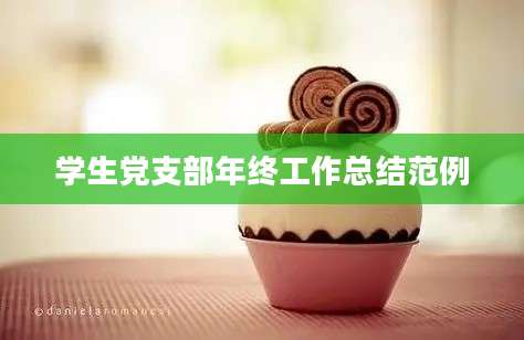 学生党支部年终工作总结范例